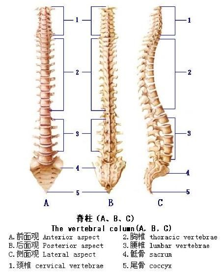 byb.cn